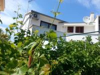 Apartments Maslina Božava - B&B