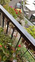 Semini di nostalgia - B&B