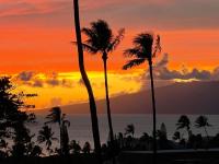 B&B Lahaina - Kaanapali Plantation 57 - Bed and Breakfast Lahaina