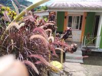 Ian Creole Garaden Cottages - Ferienwohnung