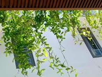 Lullaby homestay - Ferienwohnung Huế