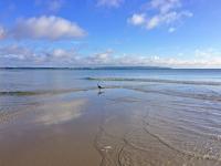 Villa Freia in Binz - WG 11 mit Meerblick und Balkon - Ferienwohnung Ostseebad Binz