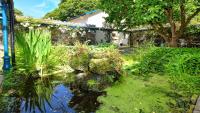 Plas Bodegroes - B&B Pwllheli
