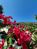 Primavera Apartments - B&B Antipáta