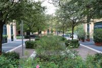 Navigli Design Apartment with Balcony - B&B Milano