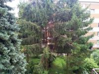 U Cioci - Ferienwohnung Krakau