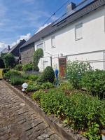 FeWo Fanissimo - B&B Berzhahn