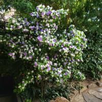 Departamentos Virgen del Cerro - B&B Salta