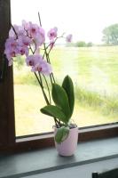 STUDIO TOUT CONFORT - B&B Soignies