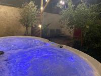 B&B Nancy - Très bel appartement avec son jardin et jacuzzi en plein centre de Nancy - Bed and Breakfast Nancy