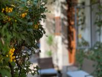 Apartamento con vistas al jardín