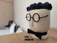 Ten's Apartment - spatios si linistit - B&B Cluj-Napoca