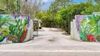 Dream of the Green Flamingo - B&B