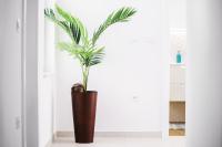 Villa More Vodice - B&B Vodice