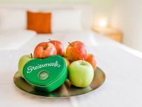 Appartement STYRIA - B&B Graz