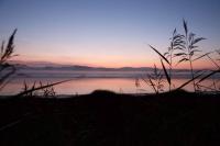 Shorepark - waterfront cottage with stunning views - B&B Dumfries