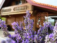 Wooden house Brezni - B&B Trakošćan