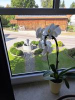 Design Apartment an der Via Claudia - Ferienwohnung Oberigling