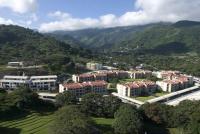 CR MARIPOSA RENTALS Comfortable penthouse, AC, pool, gym, tennis - B&B Santa Ana