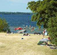 Ferienwohnung Seegras - mit Spielscheune, direkt am Wittensee - B&B Bünsdorf