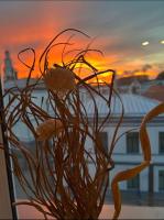 TEATRA Apartamenti - B&B Liepāja