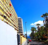 Palmera del Mar - B&B Puerto de la Cruz