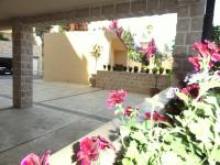 The Old Town Terrace Apartments - B&B Budva