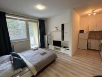Moderné štúdio s bezplatným parkovaním - B&B Martin