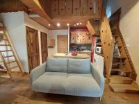 Charmant Duplex Montagne aux Deux Alpes avec Sauna et Wifi - FR-1-516-147 - Chambres d'hôtes Les Deux Alpes