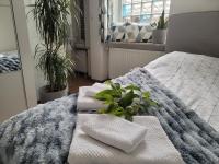 Apartament Pod Orzechem - B&B Bydgoszcz