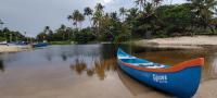 Gypsea Marari - Bed and Breakfast Alappuzha