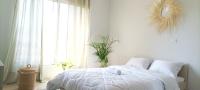 white Bear - B&B