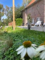 La Canopée des Arbres, Anna - B&B Ellezelles