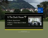 The Duck House