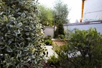 Habitación Doble adaptada para personas con discapacidad - 1 o 2 camas