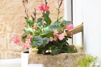 Ca Sana Teulada Moraira, Grupo Terra de Mar, alojamientos con encanto - B&B Teulada