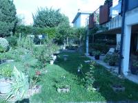Le volcan - Bed and Breakfast