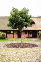 Reihenhaus für 2 nahe Golfplatz *timbered* - B&B Barum