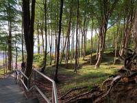 Studio mit Schlafsofa