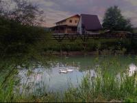Căsuța de la râu - Ferienwohnung