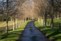Stunning Stables Cottage in East Lothian Country Estate - Chambres d'hôtes North Berwick