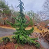 Evergreen Retreat - Ferienwohnung Fleetwood