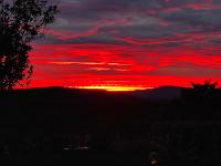 Appartamento con Vista Giardino