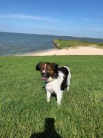 Sfeervol loft in Koudum - B&B Koudum