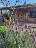 Vayu- en La Casa de Nanda - B&B