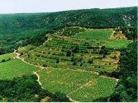 Studiový apartmán Tulum - B&B Znojmo