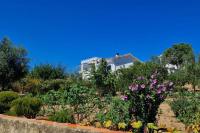 Refugio Abrunheiro Grande - Bed and Breakfast Vila de Rei