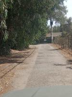 OASIS ESCAPE - B&B Vaccarizzo-Delfino