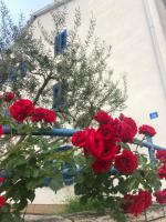 Olive Tree Apartments - B&B Umag