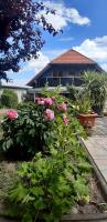 B&B Ilsenburg - Ferienwohnung Relax - Bed and Breakfast Ilsenburg